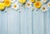 Laeacco Blue Fade Wooden Board Plank Flower Petal Doll Pet Kids Portrait Photo Backgrounds Backdrops