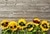 Laeacco Blue Fade Wooden Board Plank Flower Petal Doll Pet Kids Portrait Photo Backgrounds Backdrops
