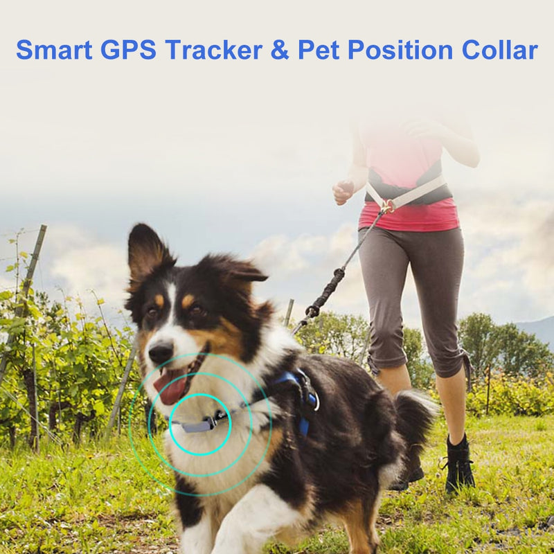 IP67 Waterproof Pet Collar GSM AGPS Wifi LBS Mini Light GPS Tracker for Pets Tracking Locator